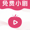 橘子视频APP应用